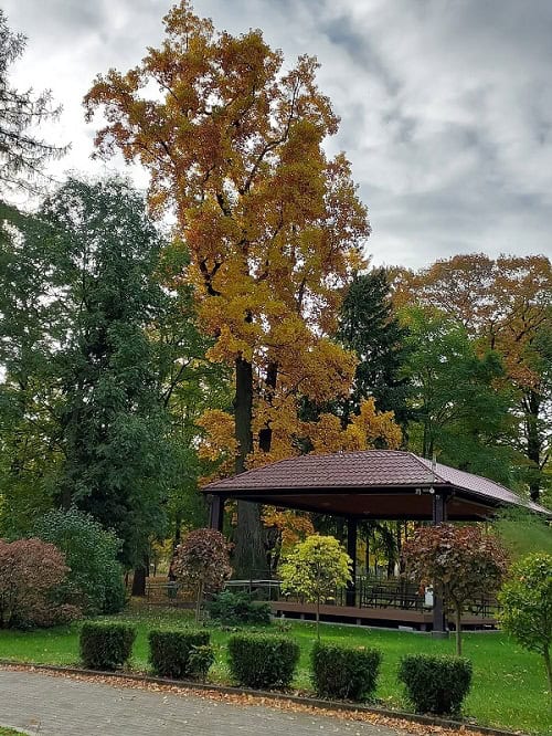 Altana parkowa za głównym budyniem Domu Pomocy Społecznej w Lubzinie. W tle historyczny, park z wysokimi, zielonymi drzewami.